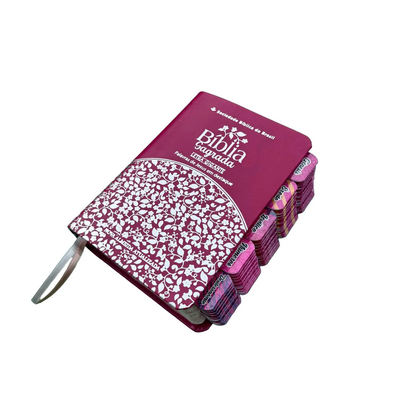 Bíblia Pink Pequena Capa Luxo Naa com Abas Falas de Jesus Vermelho SBB
