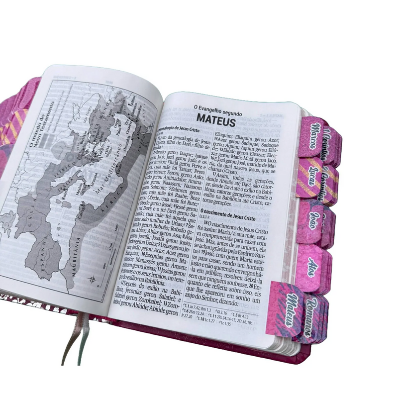 Bíblia Pink Pequena Capa Luxo Naa com Abas Falas de Jesus Vermelho SBB