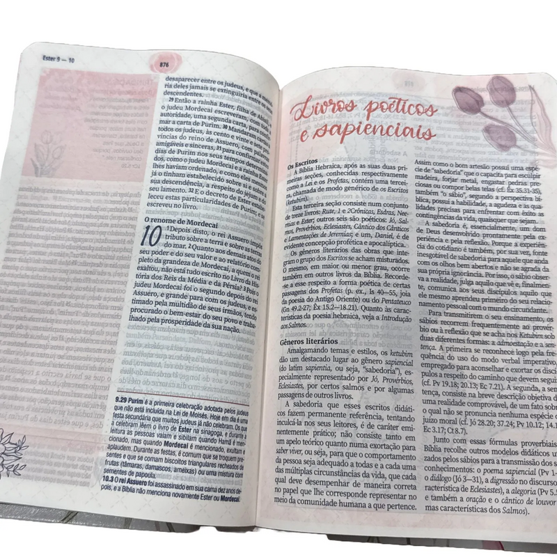 Kit biblia de estudo da Mulher  + Livro Café Com Deus pai 2025
