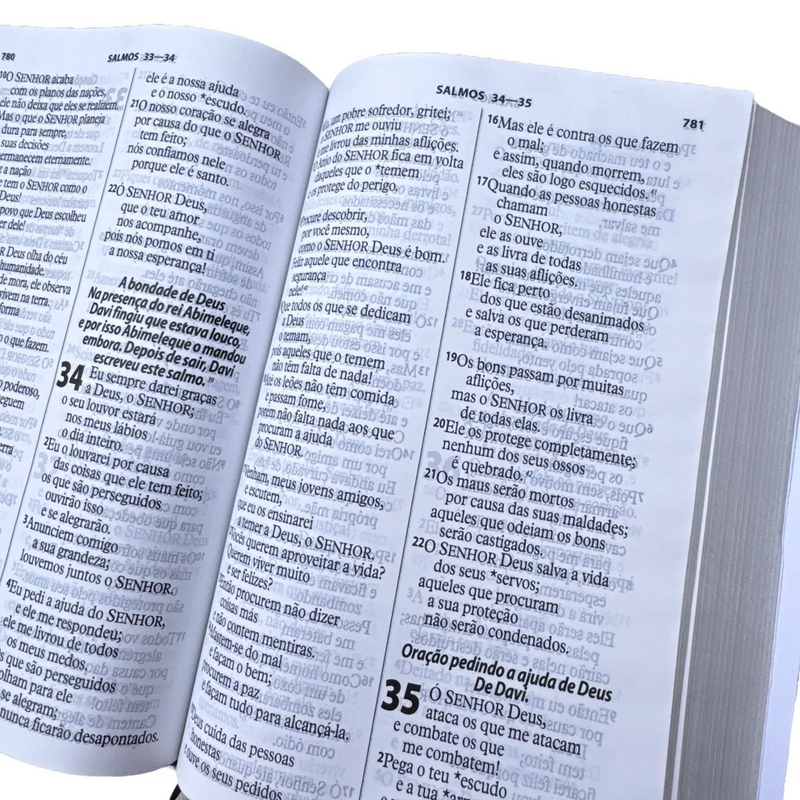 Kit Biblia Leão Justo e Fiel Ntlh + Caderno Devocional Justo e Fiel