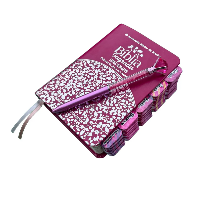 Bíblia Pink Pequena Capa Luxo Naa com Abas Falas de Jesus Vermelho SBB