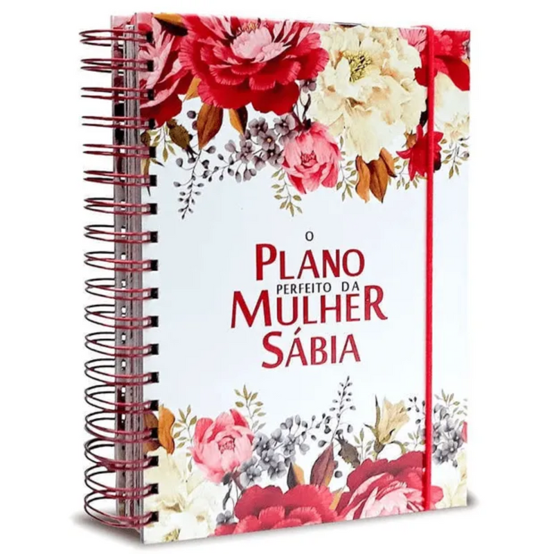 O plano perfeito da mulher sábia