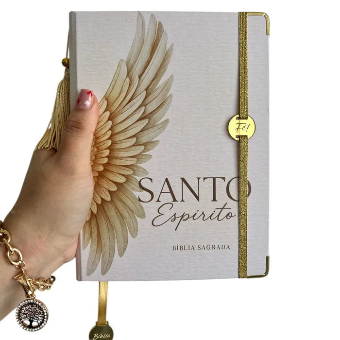 Bíblia Sagrada - Evangélica letra Gigante