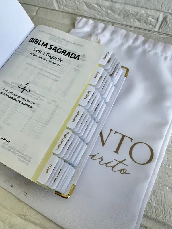 Bíblia Sagrada - Evangélica letra Gigante