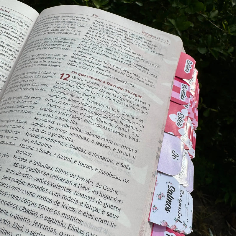 Bíblia da Pregadora Pentecostal Grande Com Abas
