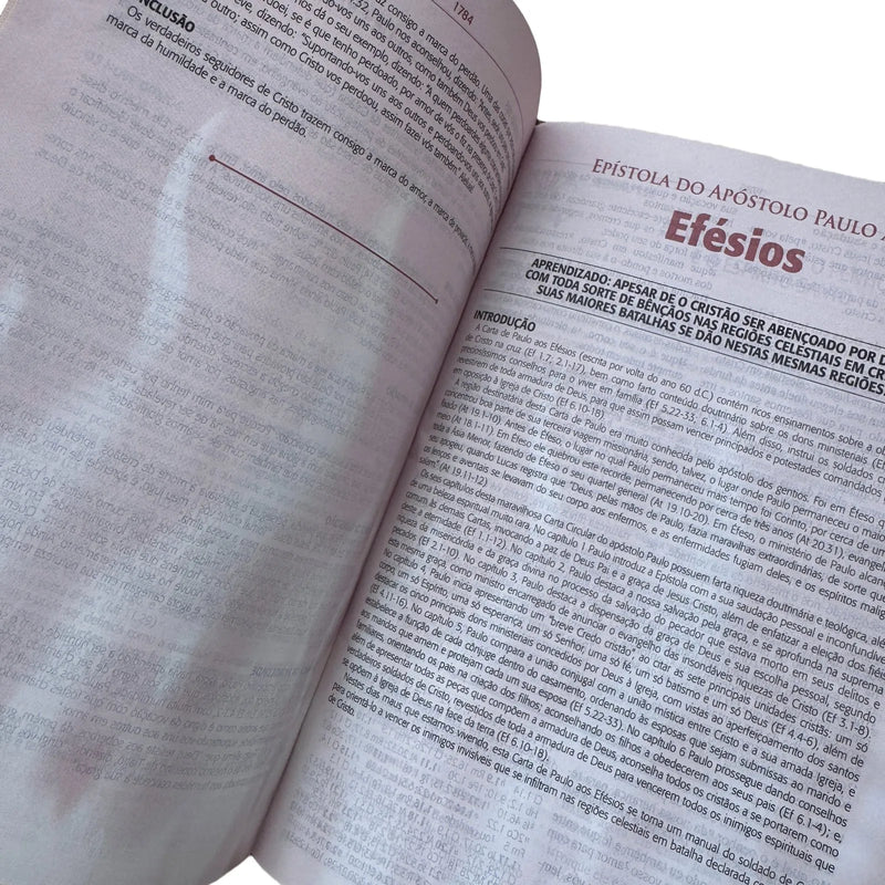 Biblia de estudo do Pregador Pentecostal Sbb Vinho