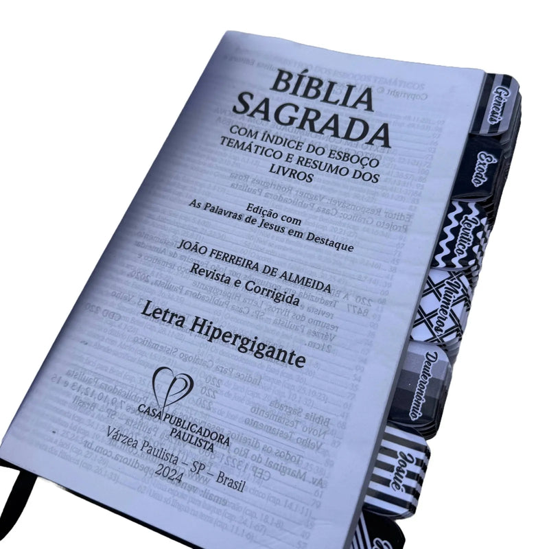 Bíblia Leao Seja Forte Arc Preto Com abas