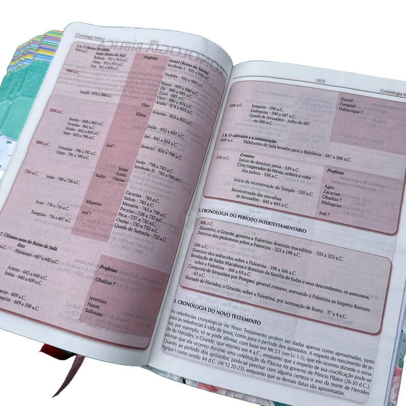 Bíblia da pregadora média com abas